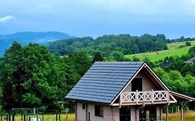 Domek Pod Ostoja Gory Sowie