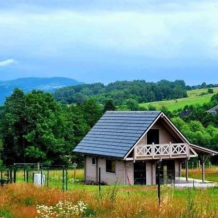 Domek Pod Ostoja Gory Sowie Lomnica  Exterior foto